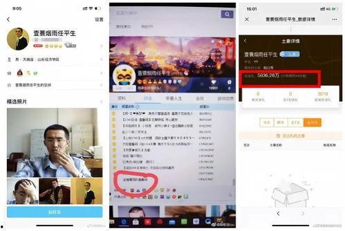 成人app直播平台 magnet,Magnet的魅力与挑战