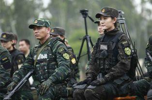 利刃出击电视剧,铁血精英的生死较量